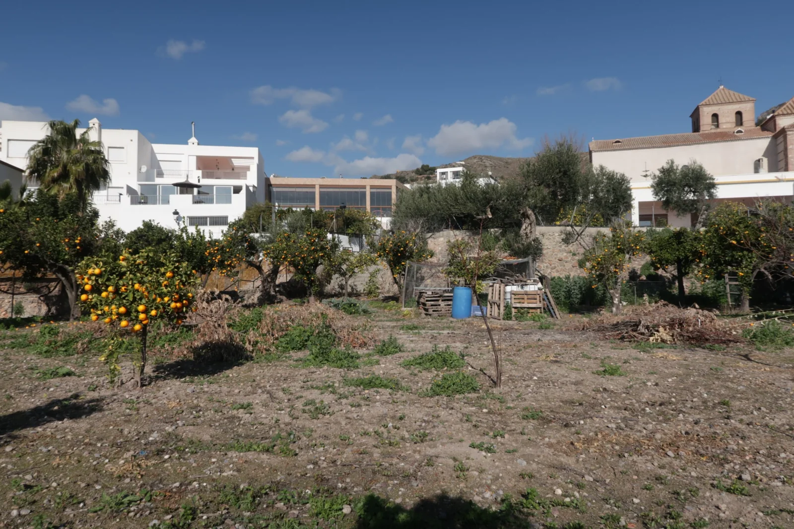 Fotografía del huerto, alternativa al visor 3D